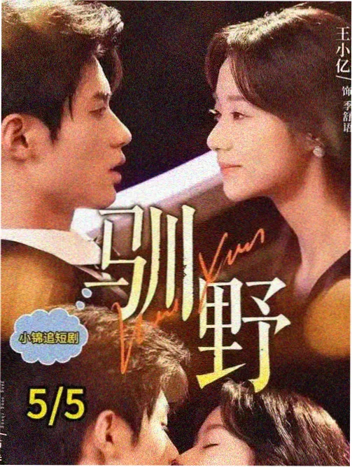 午夜影院剧集单元《第七盏路灯》节目单封面图